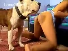 Dog inserted his cock precisely into his master's hole.